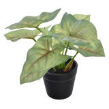 Kunstplant Syngonium 16cm (per stuk)