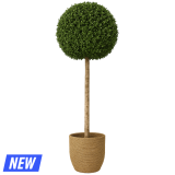 Kunstplant Buxus 107 cm