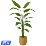 Kunstplant Strelitzia Nicolai 210cm 