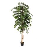 Kunstplant Ficus 210cm